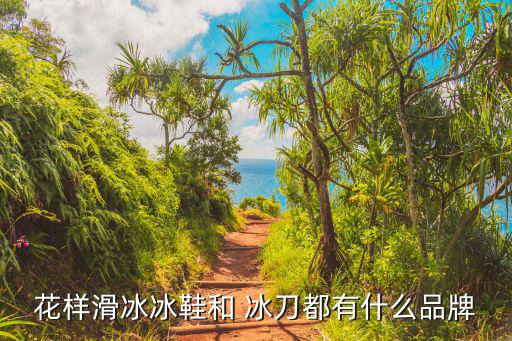 花样滑冰冰鞋和 冰刀都有什么品牌