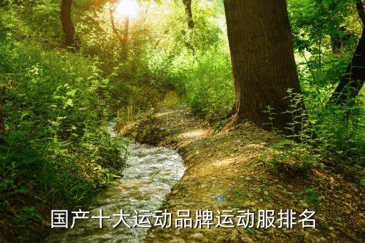 国产十大运动品牌运动服排名