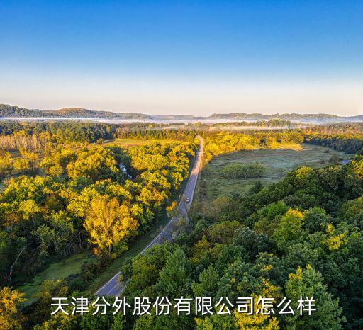  天津分外股份有限公司怎么样