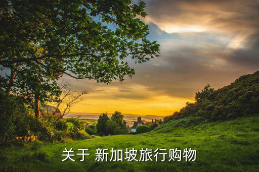 关于 新加坡旅行购物