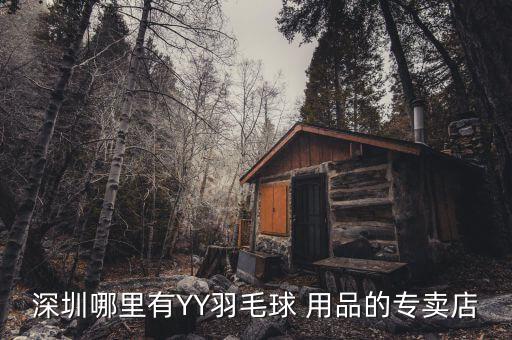 卖运动体育用品的店叫什么