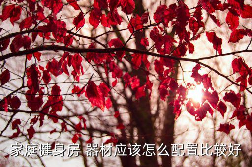 体育锻炼器材家用,10岁儿童健身器材