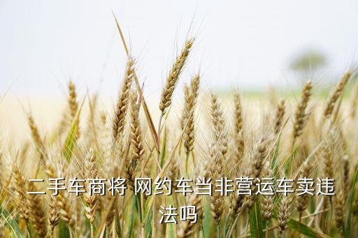  二手车商将 网约车当非营运车卖违法吗