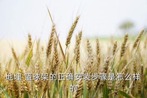 篮球架安装图 图解,固定式篮球架安装图