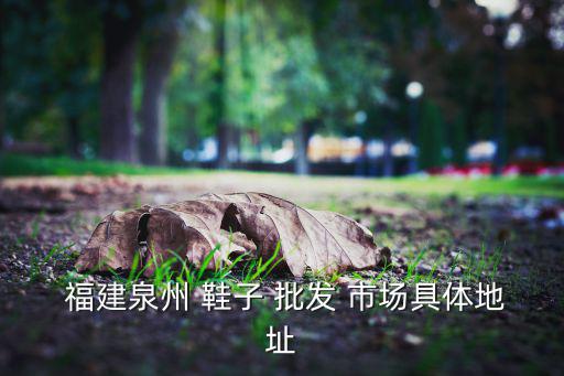  福建泉州 鞋子 批发 市场具体地址