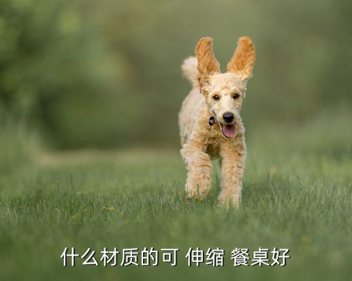 什么材质的可 伸缩 餐桌好