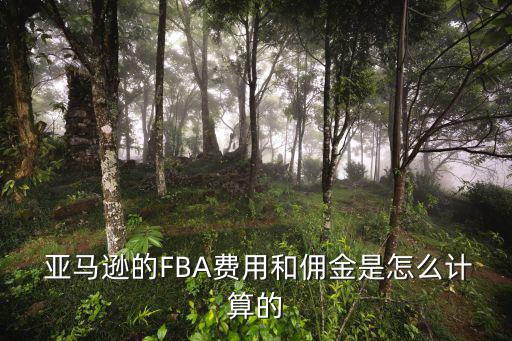 亚马逊对体育用品怎么收费,济南亚马逊体育用品有限公司