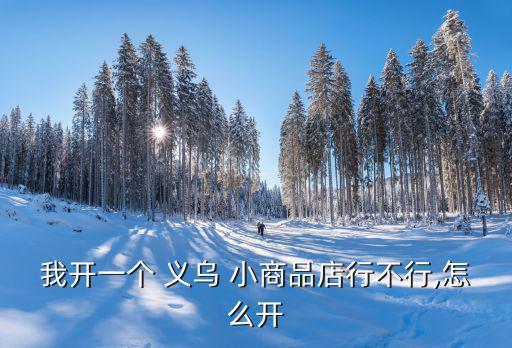 我开一个 义乌 小商品店行不行,怎么开