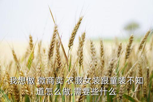 我想做 微商卖 衣服女装跟童装不知道怎么做,需要些什么