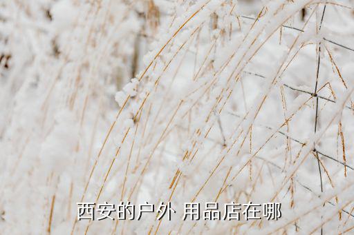 西安体育用品一条街,广州体育用品一条街在哪里