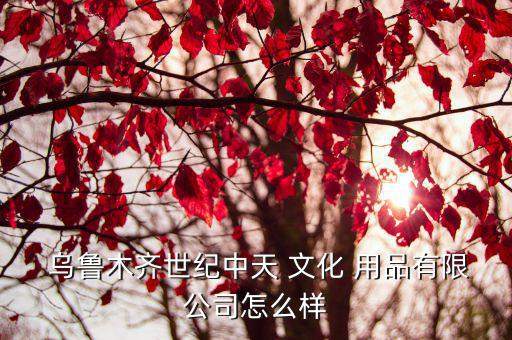 乌鲁木齐世纪中天 文化 用品有限公司怎么样