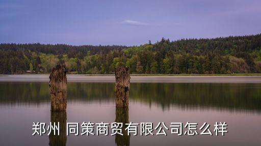 郑州 同策商贸有限公司怎么样