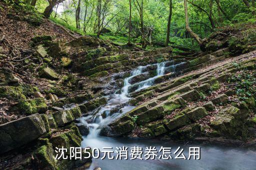 沈阳50元消费券怎么用