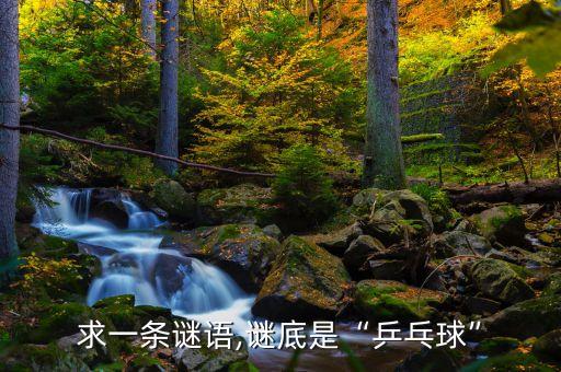 求一条谜语,谜底是“乒乓球”