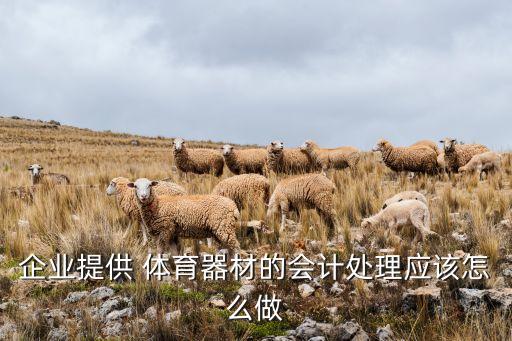 购置体育用品计入什么科目,体育用品属于什么科目