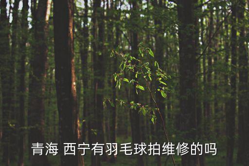 青海 西宁有羽毛球拍维修的吗