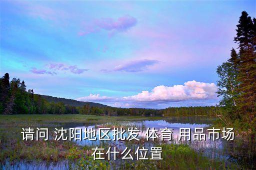 请问 沈阳地区批发 体育 用品市场在什么位置