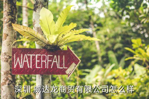 深圳 威达龙商贸有限公司怎么样