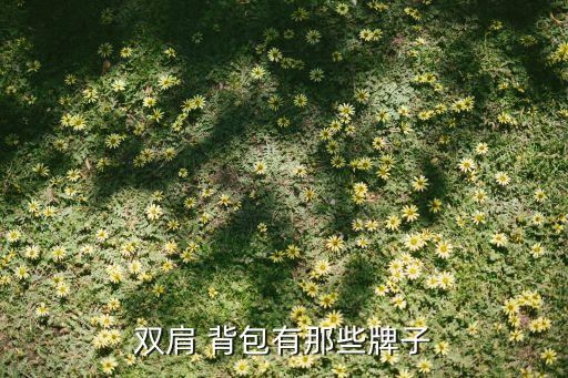 双肩 背包有那些牌子