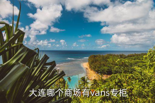  大连哪个商场有vans专柜