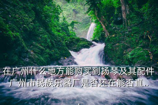 在广州什么地方能购买到扬琴及其配件广州市民族乐器厂是否还在能否直...