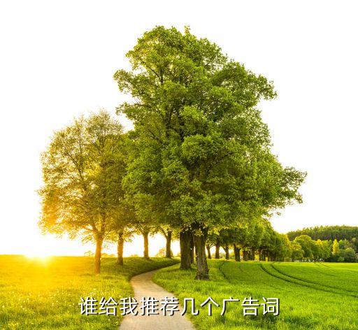 谁给我推荐几个广告词