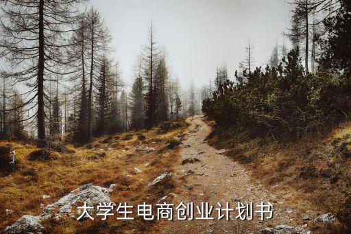 大学生电商创业计划书