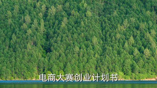 电商大赛创业计划书