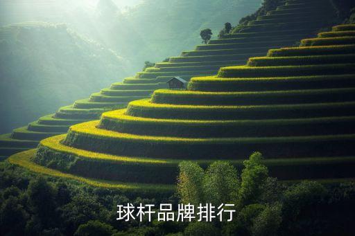 球杆品牌排行