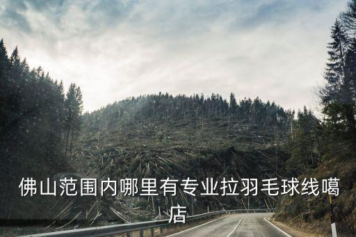  佛山范围内哪里有专业拉羽毛球线噶店