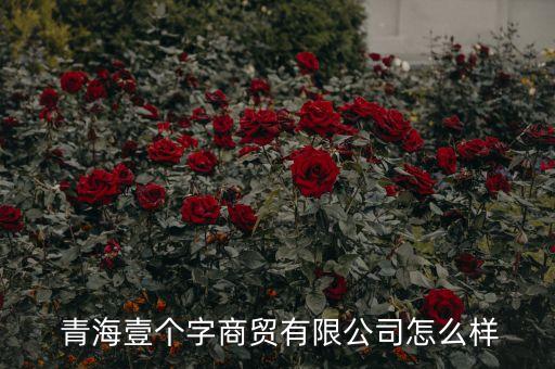 青海体育用品销售招聘,青海健身路径体育用品公司