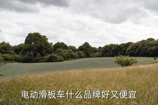 电动滑板车什么品牌好又便宜