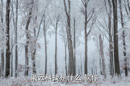 枭云科技是什么 软件