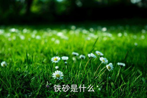 绍兴体育用品配重铁砂厂