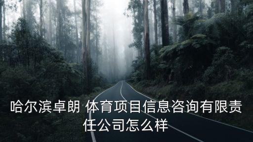 哈尔滨卓朗 体育项目信息咨询有限责任公司怎么样