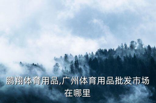 鹏翔体育用品,广州体育用品批发市场在哪里