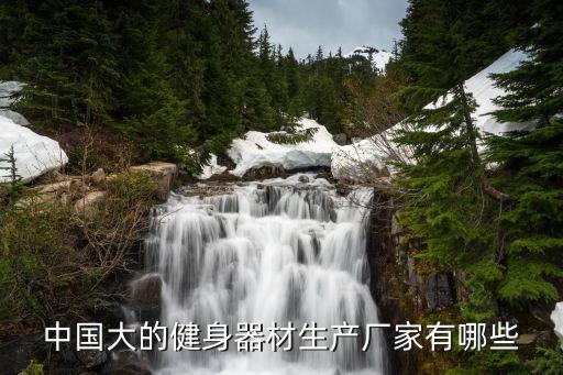 中国大的健身器材生产厂家有哪些