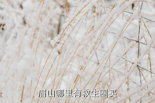 眉山哪里有救生圈买