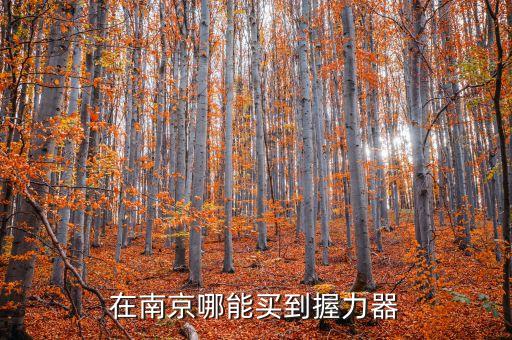 在南京哪能买到握力器