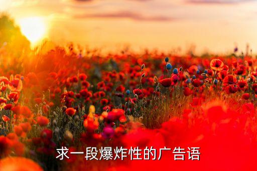 迪生体育用品