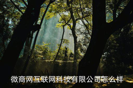  微商网互联网科技有限公司怎么样