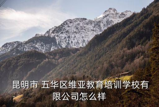  昆明市 五华区维亚教育培训学校有限公司怎么样
