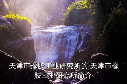  天津市橡胶工业研究所的 天津市橡胶工业研究所简介