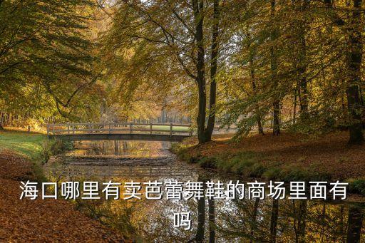  海口哪里有卖芭蕾舞鞋的商场里面有吗