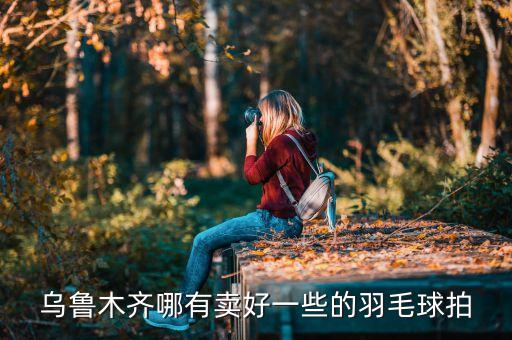 乌鲁木齐哪有卖好一些的羽毛球拍