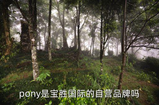 pony是宝胜国际的自营品牌吗