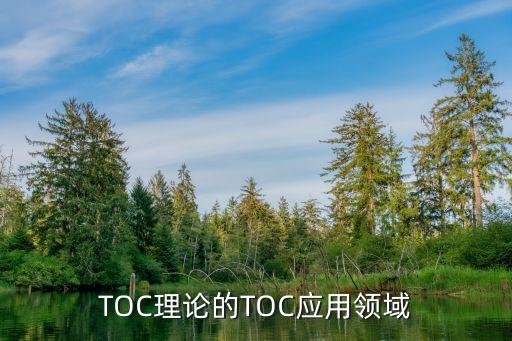 TOC理论的TOC应用领域