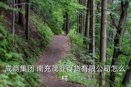 成商集团 南充茂业百货有限公司怎么样