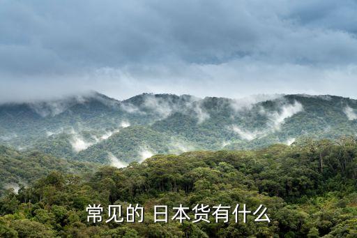 常见的 日本货有什么