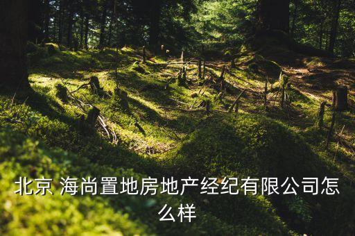 北京 海尚置地房地产经纪有限公司怎么样